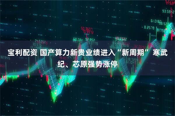 宝利配资 国产算力新贵业绩进入“新周期” 寒武纪、芯原强势涨停